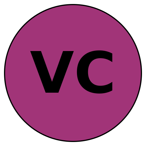 Visionary Careers
